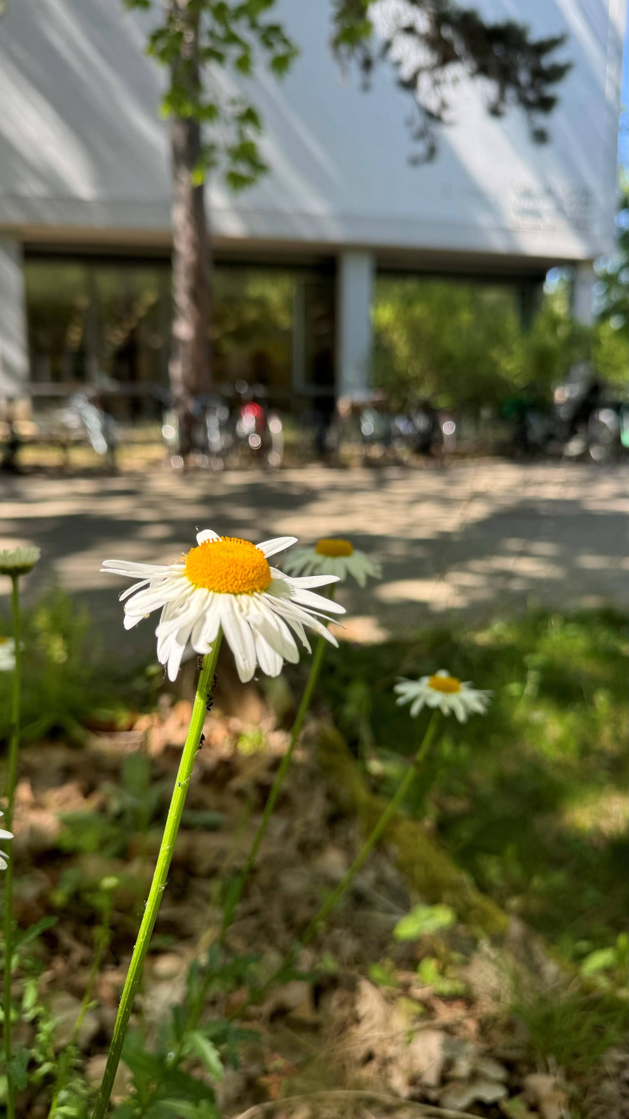 Biodiversitätsjahr an der FU Berlin